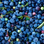 As propriedades medicinais da blueberry (mirtilo): A pequena notável
