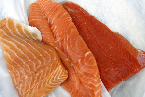 o salmão de cativeiro prejudica mais do que ajuda