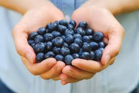 blueberries (mirtilo): um dos alimentos mais antioxidantes do planeta!