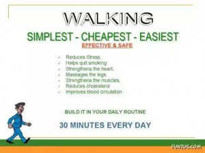caminhar traz muitos benefícios para a nossa saúde:30 minutinhos só por dia: vamos lá, pessoal!