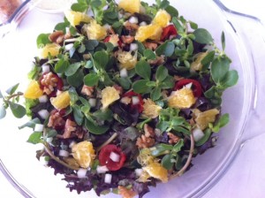 salada de beldroega com laranja e nozes...hummmm...delícia, vovó!!! 